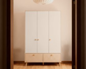 Шкаф для одежды ББ-3-1