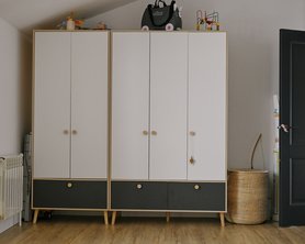 Шкаф для одежды ББС-2