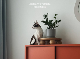 Поднос-подставка MON из массива дуба-3