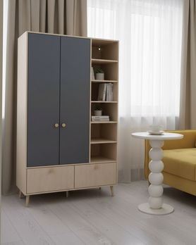 Шкаф для одежды с полками БС-2-2