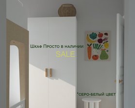 Шкаф Просто «Один» из ЛДСП SALE-1